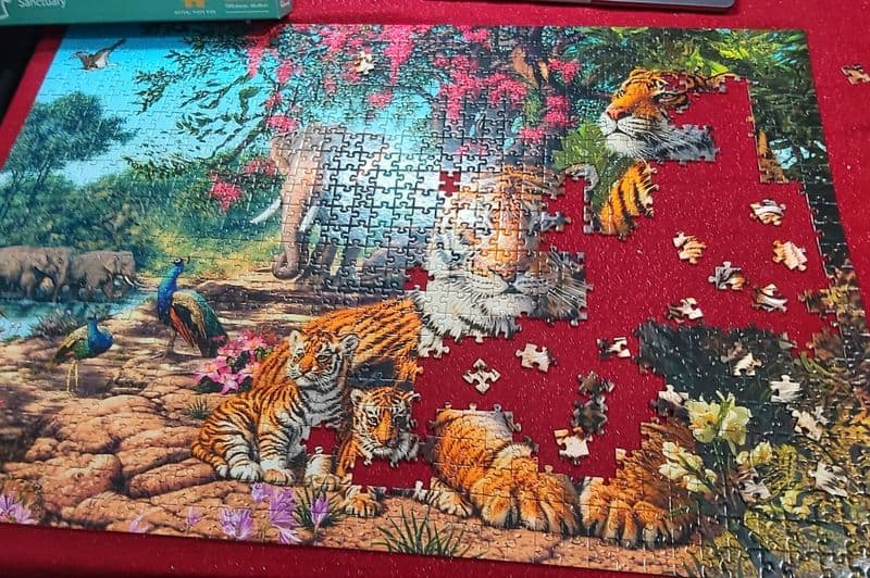 Jigsaw Puzzles
