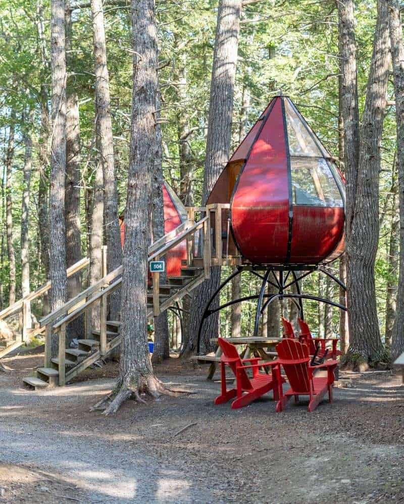 Forest Echo Pod