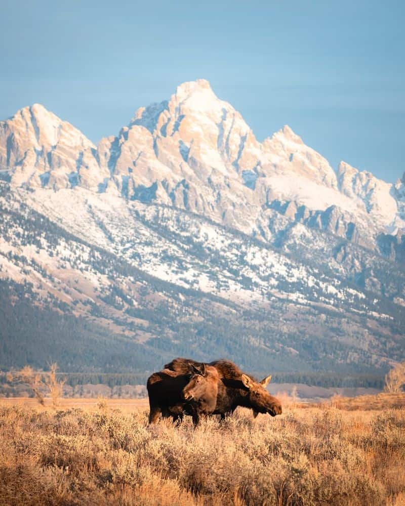 Grand Teton