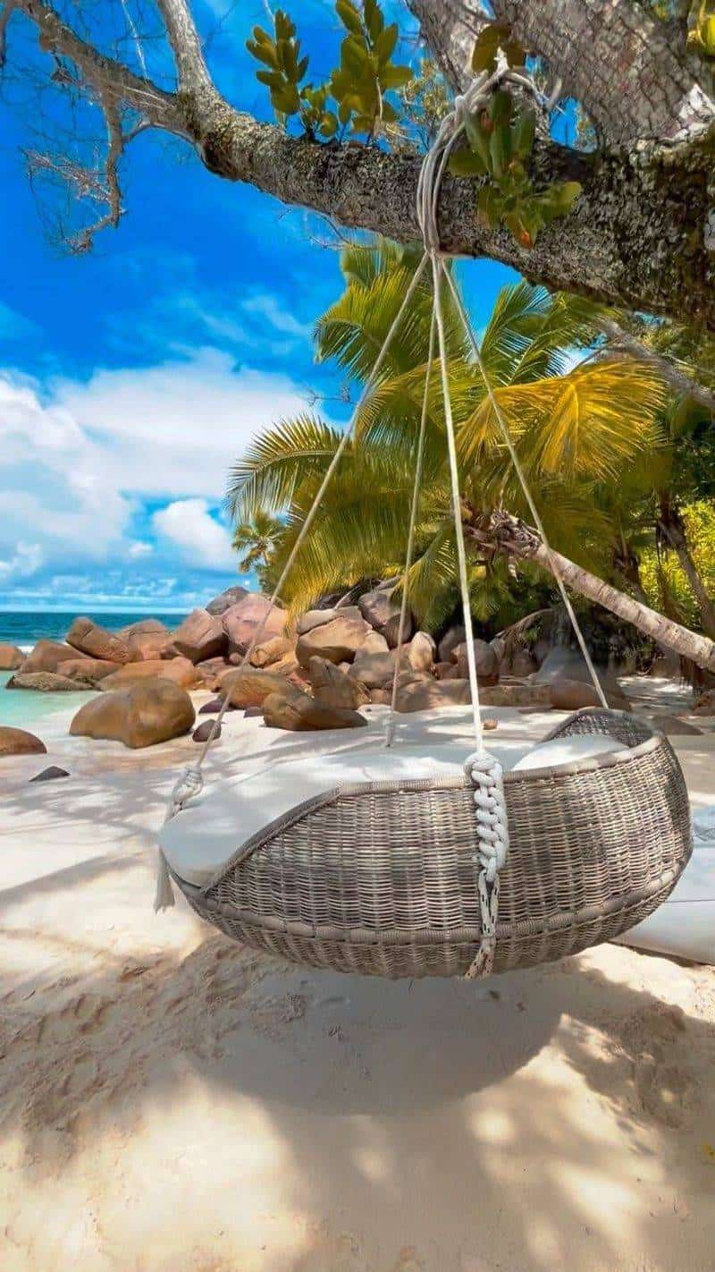 Hammock Chairs