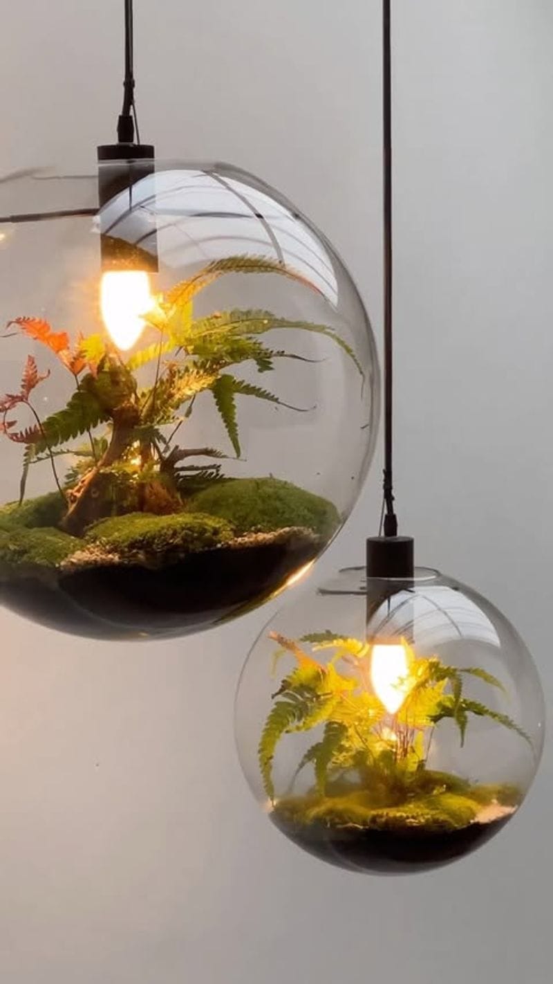 Hanging Terrariums