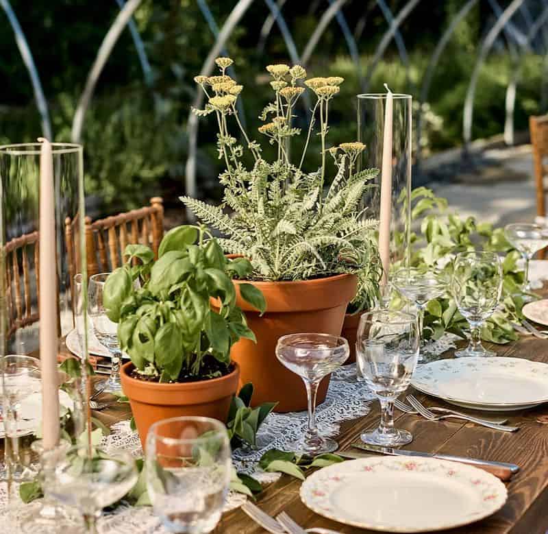 Herb Garden Arrangement