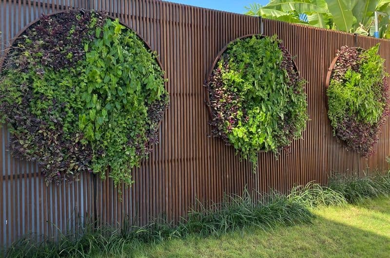 Incorporate Vertical Gardening