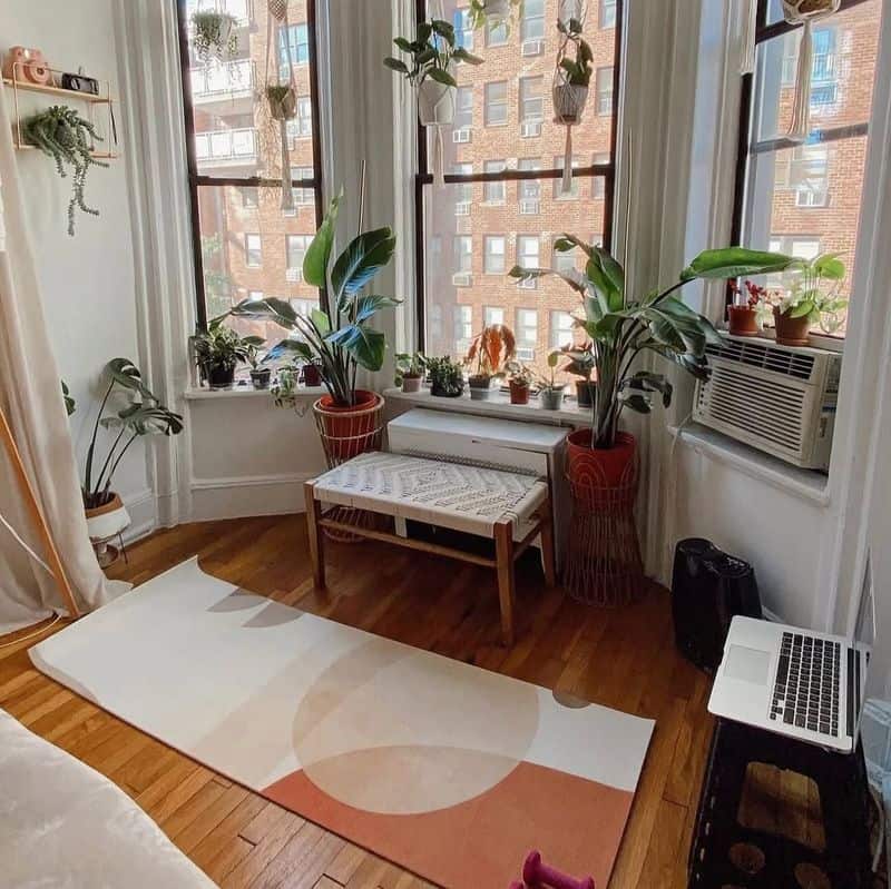 Indoor Plant Oasis
