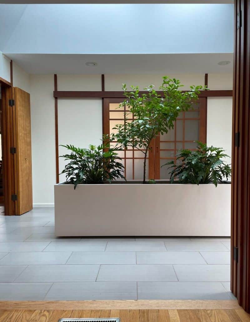 Indoor Planters