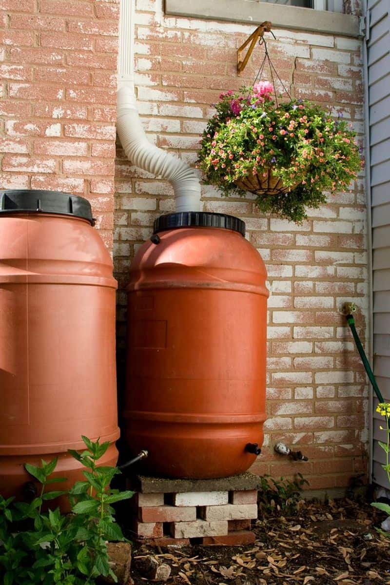 Install a DIY Rainwater Collector