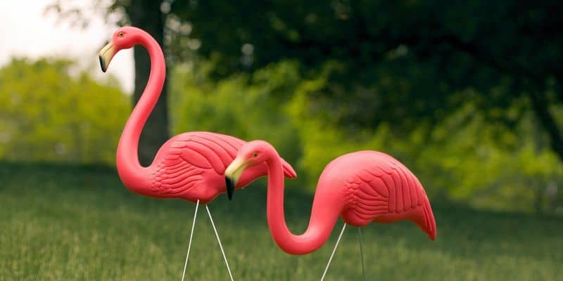 Install a Giant Flamingo