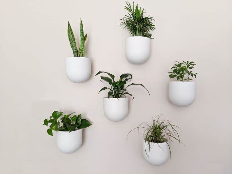 Interactive Wall-Mounted Herb Planter