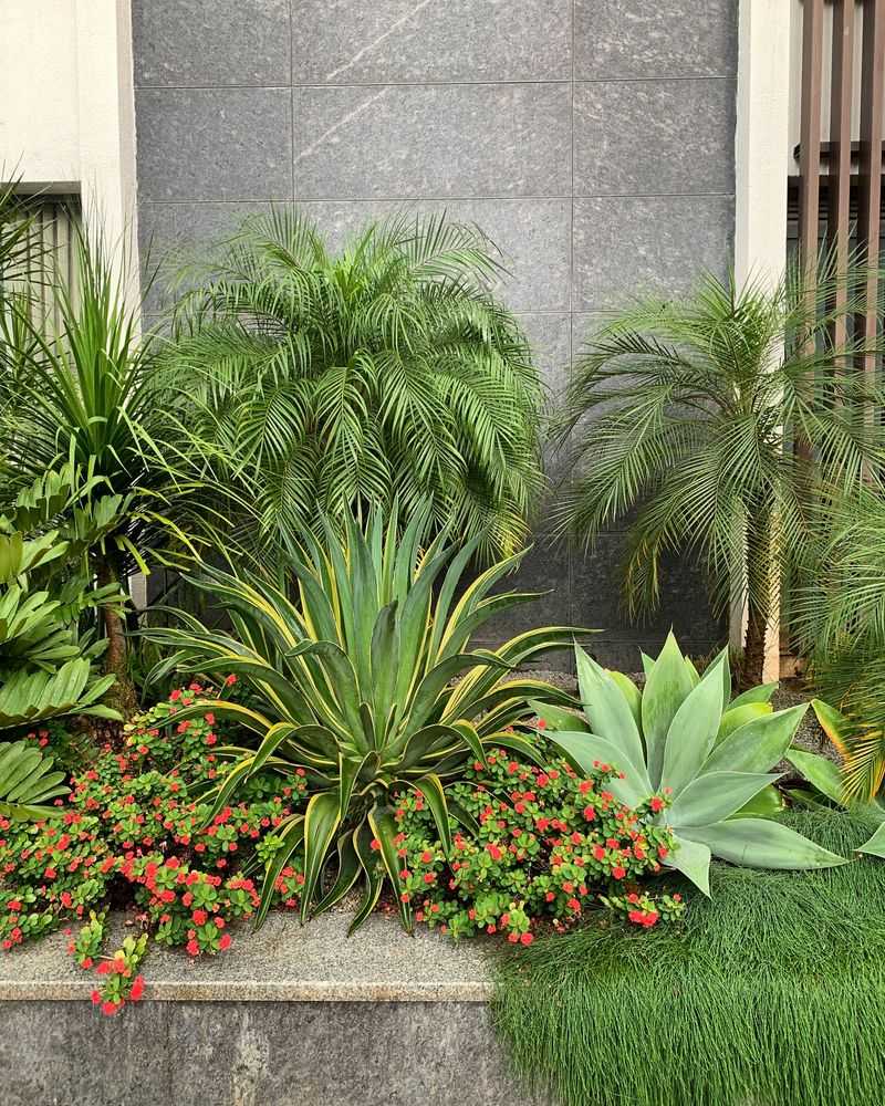 Introduce Exotic Plants