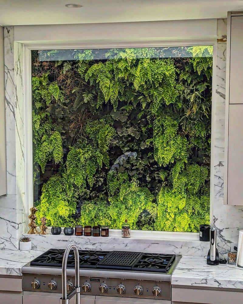 Living Plant Wall