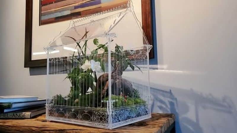 Miniature Indoor Greenhouse