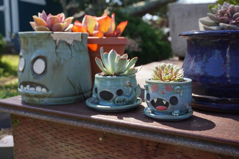 Mug Planters