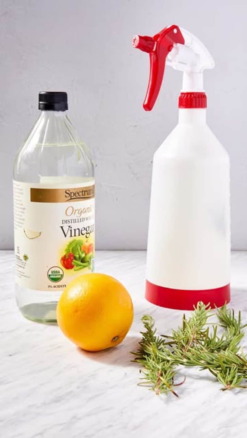 Naturally Disinfecting Vinegar