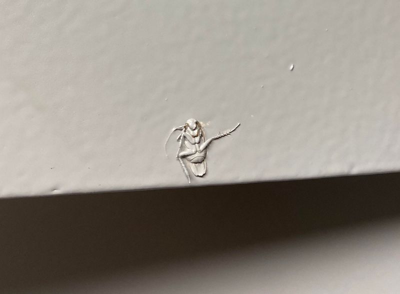 Painting Over Bugs