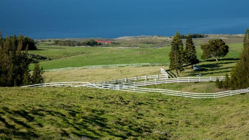 Parker Ranch, Hawaii