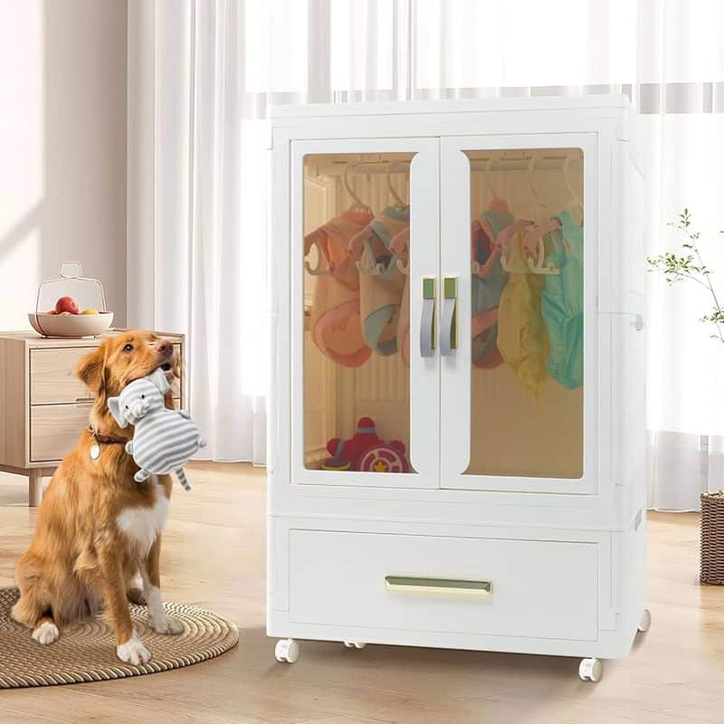 Pet Fashion Wardrobe