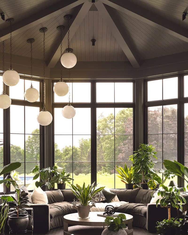 Plant Paradise