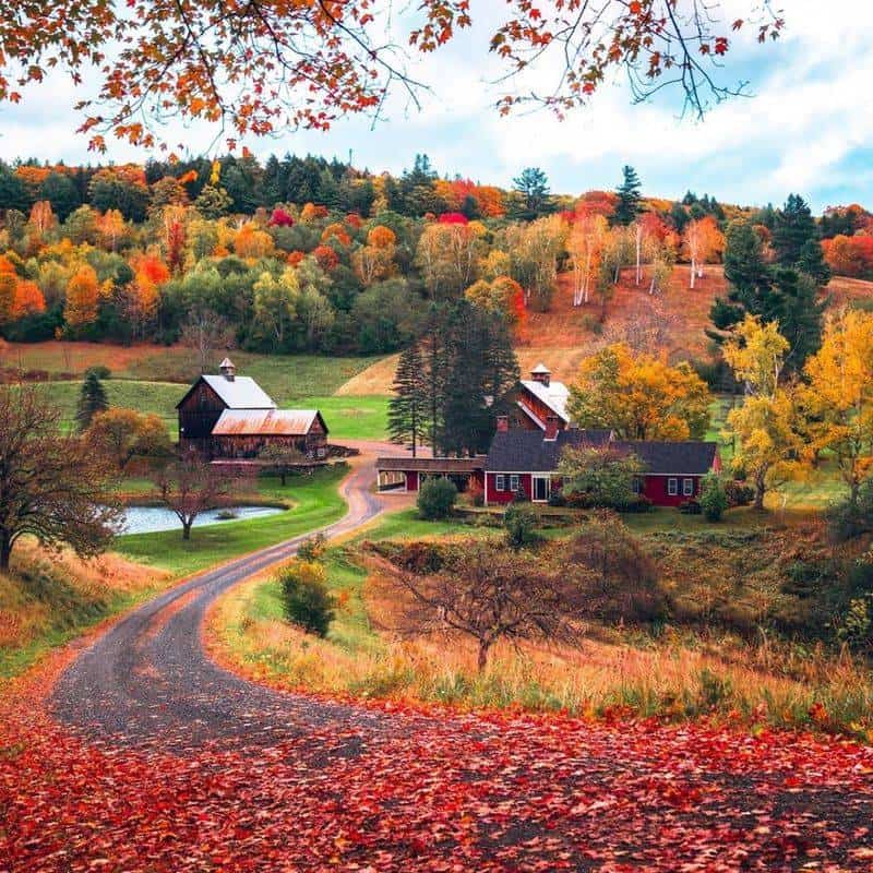 Rural Areas in Virginia: Virginia Vintage Vibes