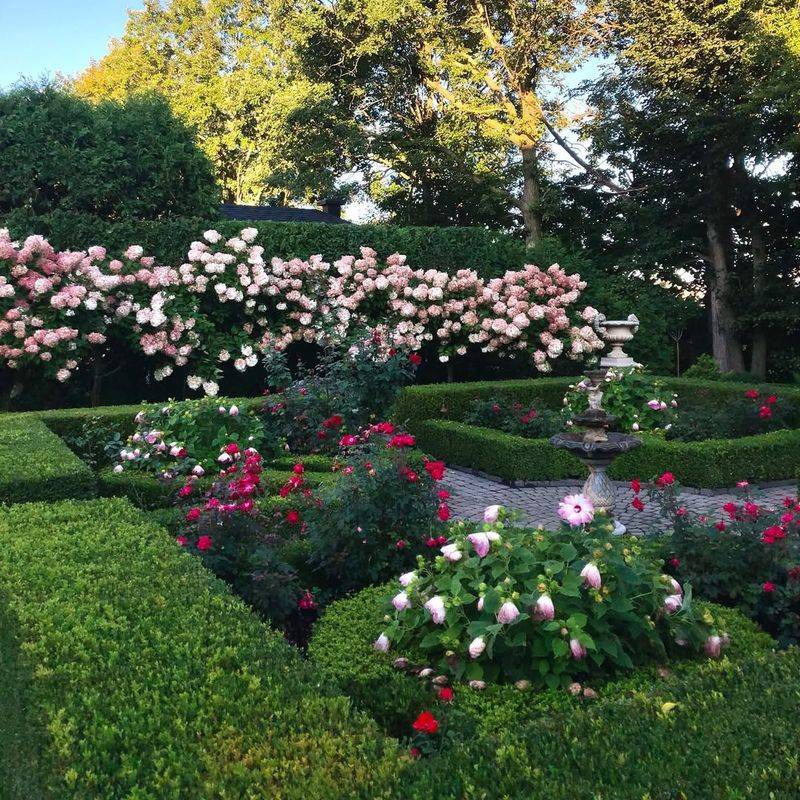 Seasonal Flowering Plants