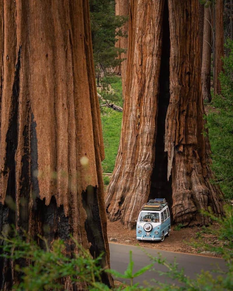 Sequoia National Park