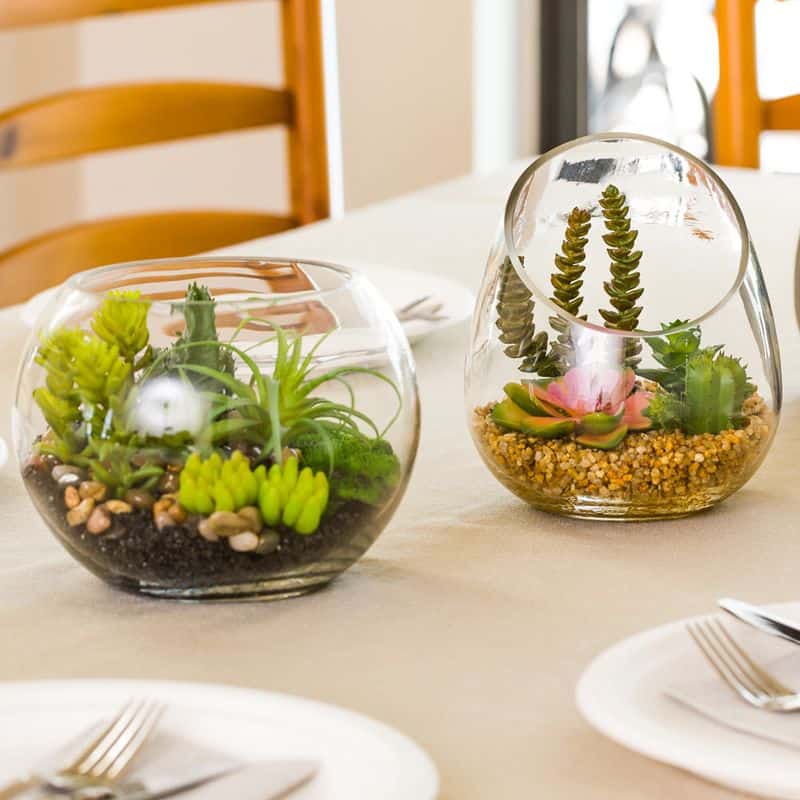 Succulent Terrarium