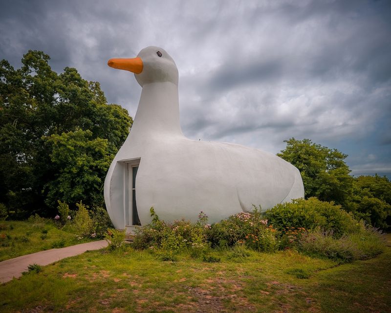 The Big Duck