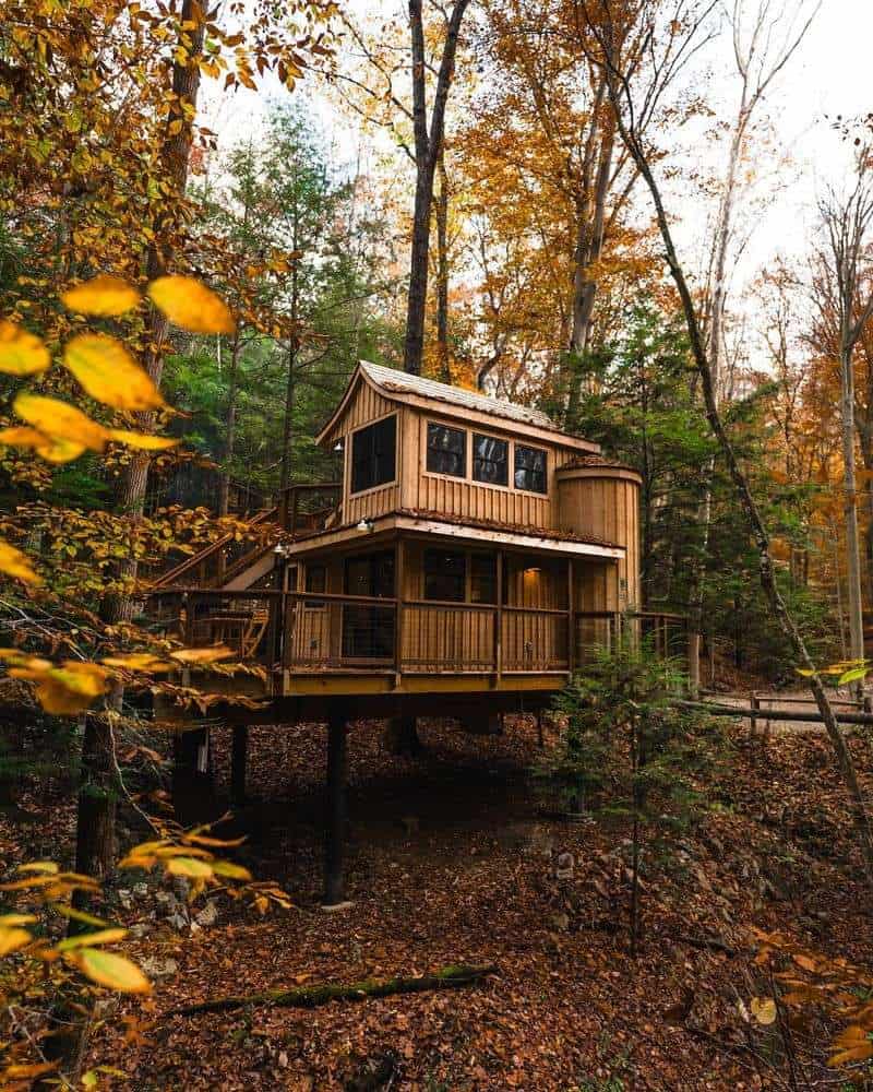 The Treehouse Lodge