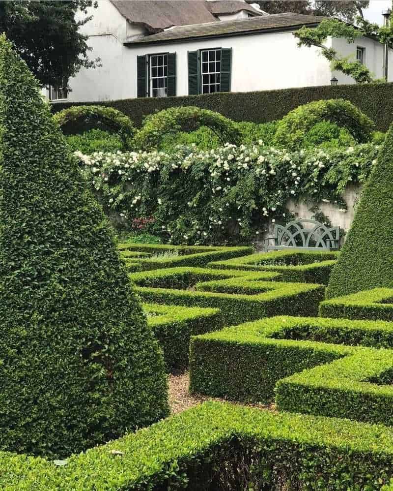 Topiary Artistry