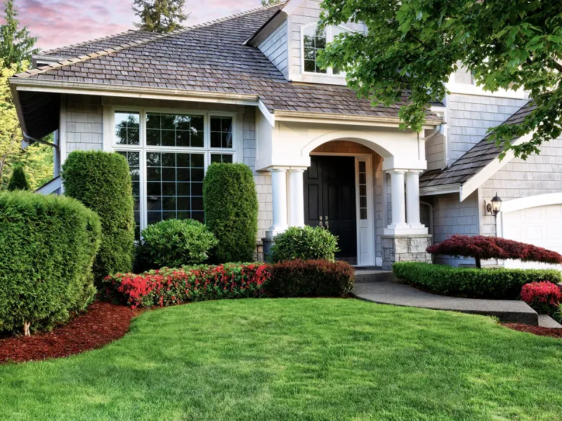 Trim Overgrown Bushes