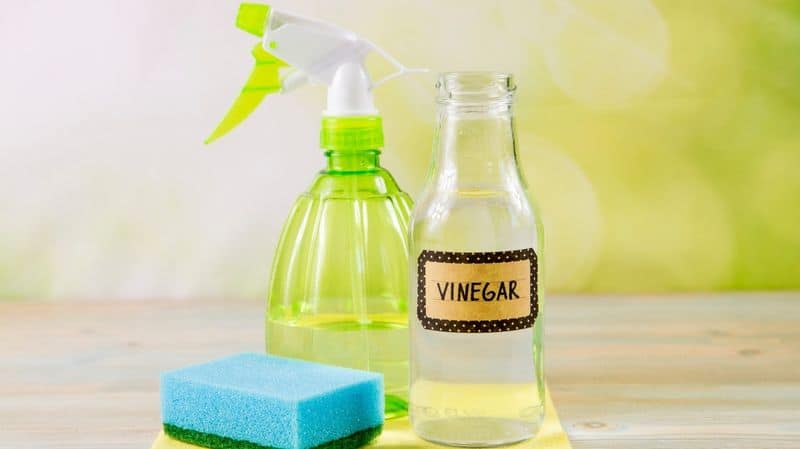 Use Vinegar Solution