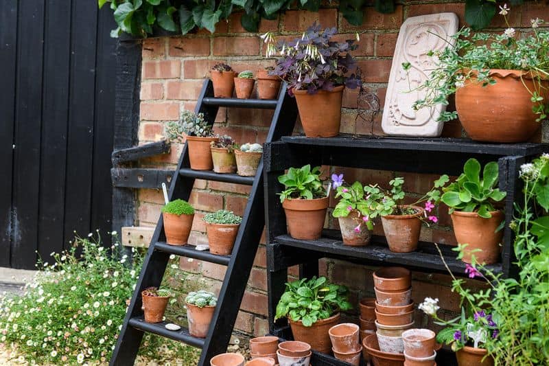 Vertical Gardening Shelves