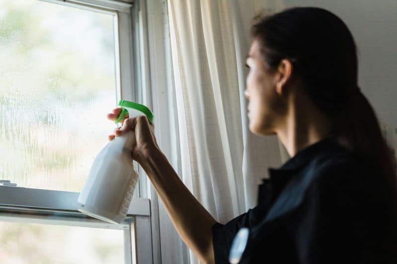 Washing Windows On a Sunny Day