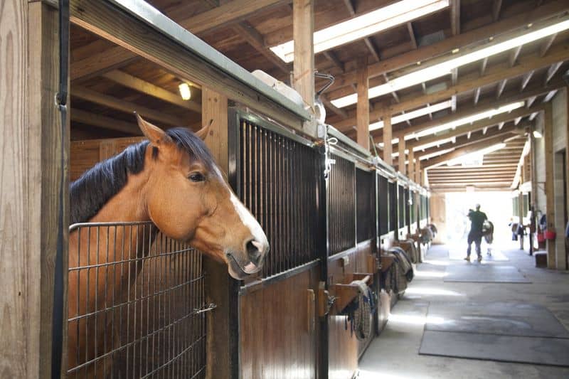 Wölffer Estate Stables, Sagaponack, NY