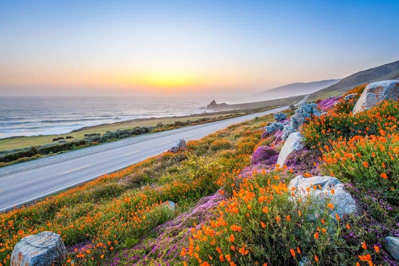 Big Sur, California
