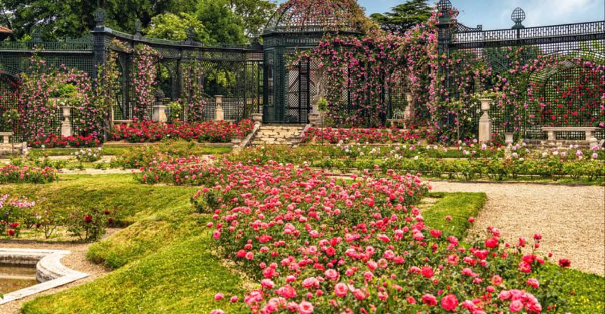 rose-gardens-worldwide