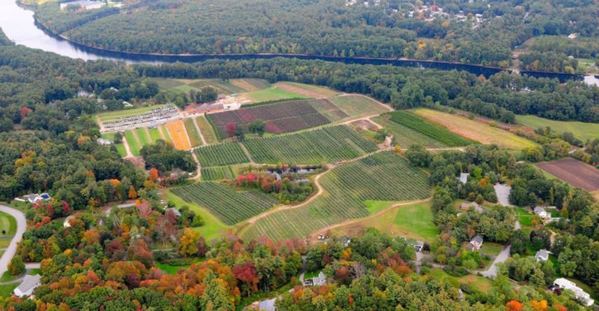 10 Beautiful USA Orchards to Visit for a Perfect Fruit-Picking Day