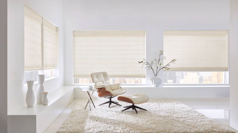 Modern Minimalist Blinds