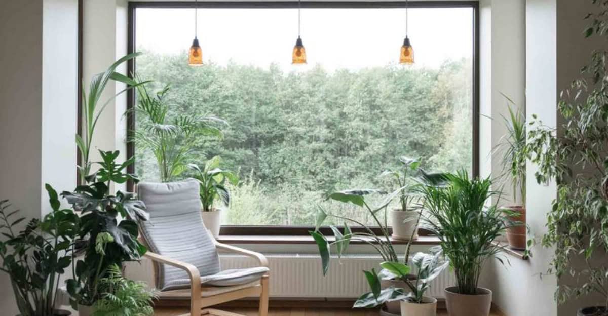 picture-windows