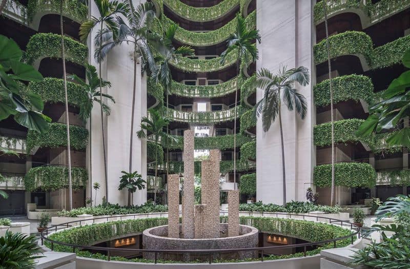 Biophilic Design Benefits