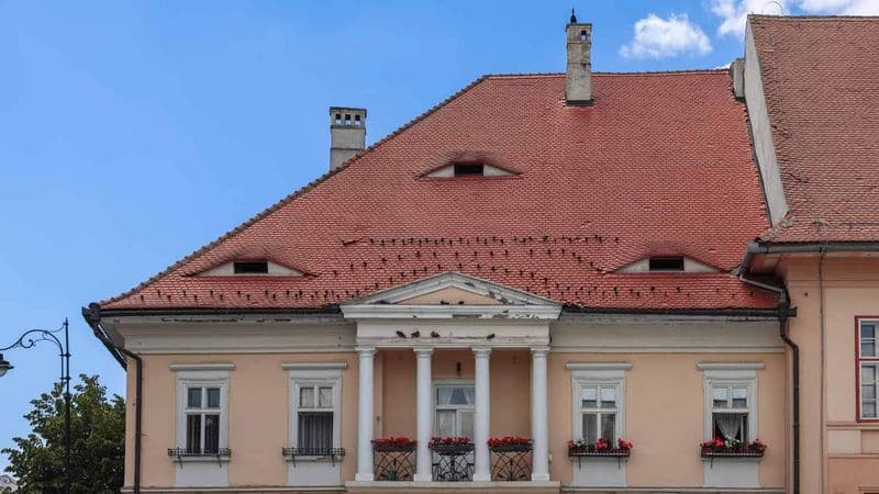 Architectural Elegance