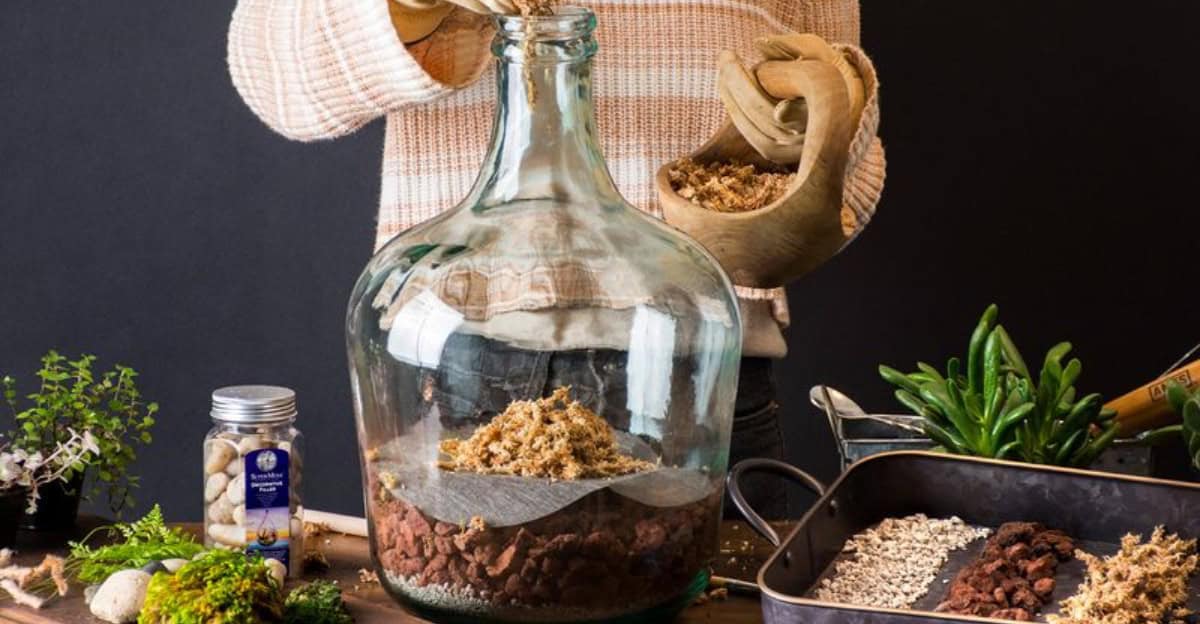 10 Tips on How to Create a Beautiful and Low-Maintenance Bottle Garden