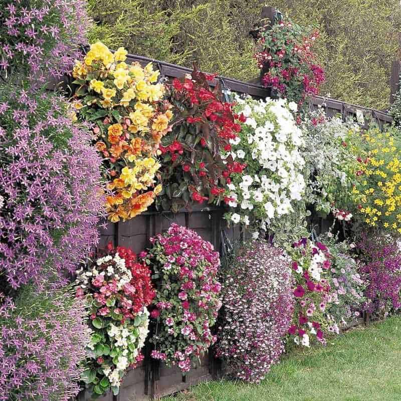 Plan Your Wall Design