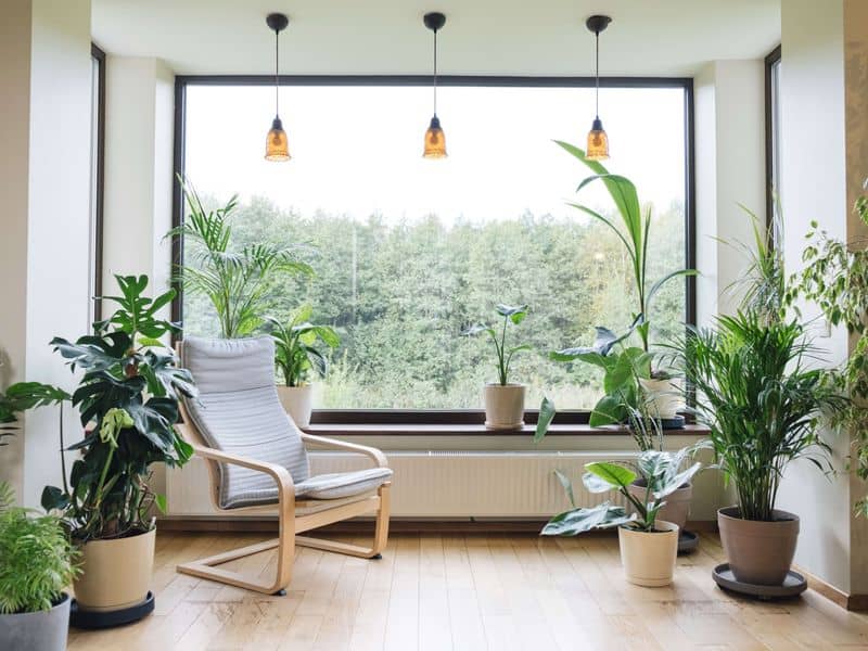 5. Absence of Greenery