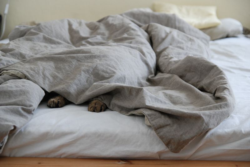 10. Cozy Textiles