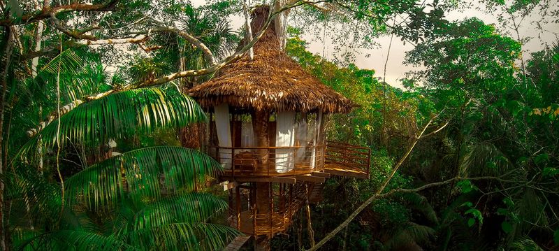 Treehouse Lodge, Peru