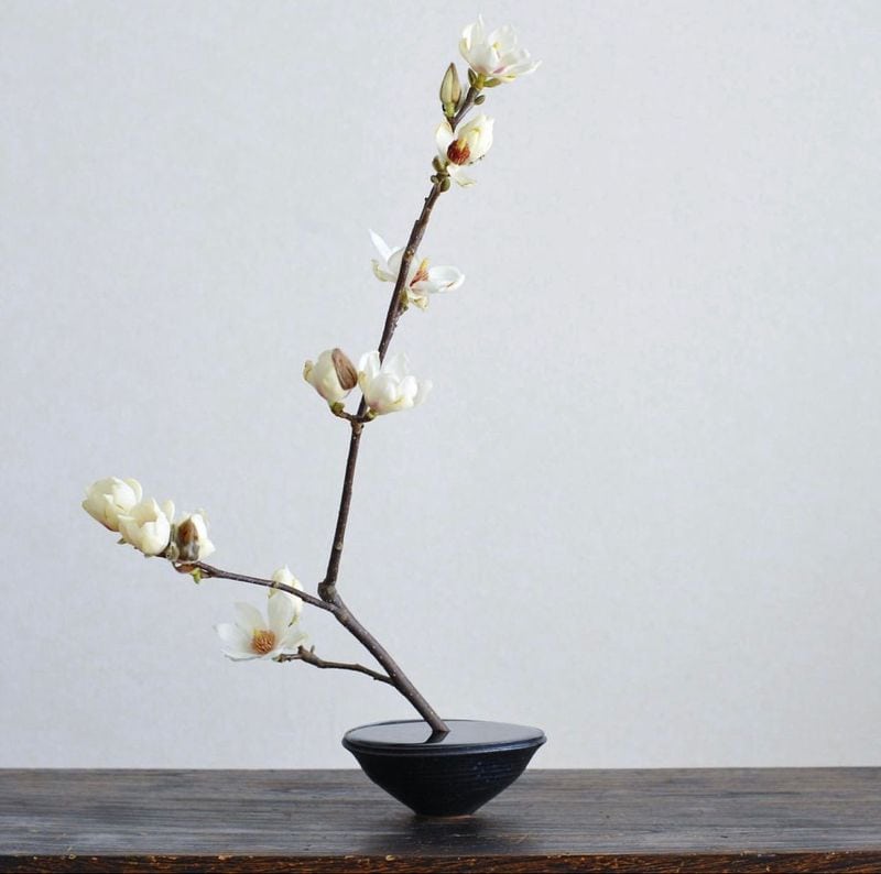 Almond Blossom Romance