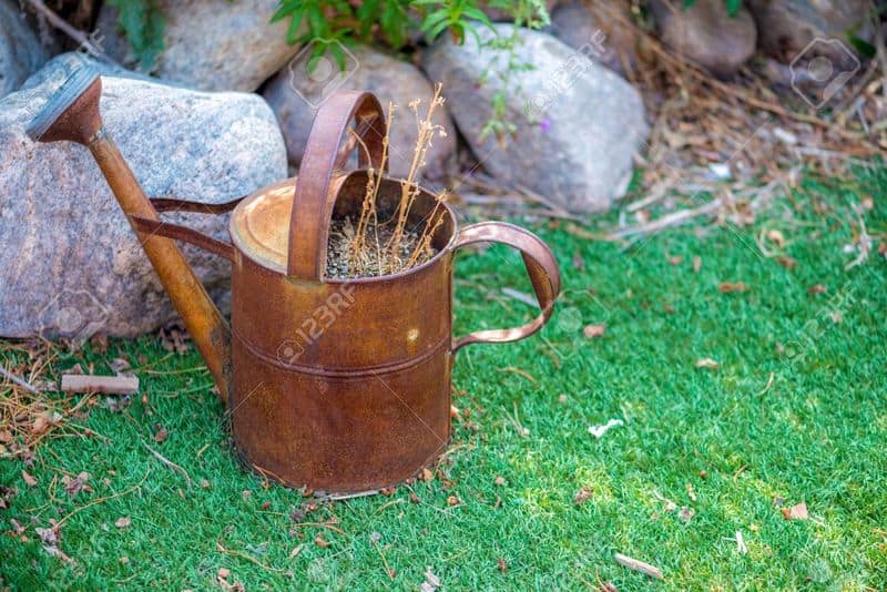 Rusty Watering Cans