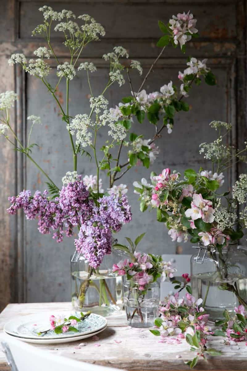 Apple Blossom Serenity