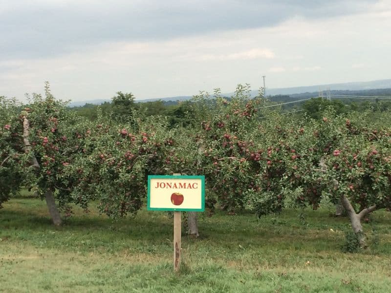Fishkill Farms