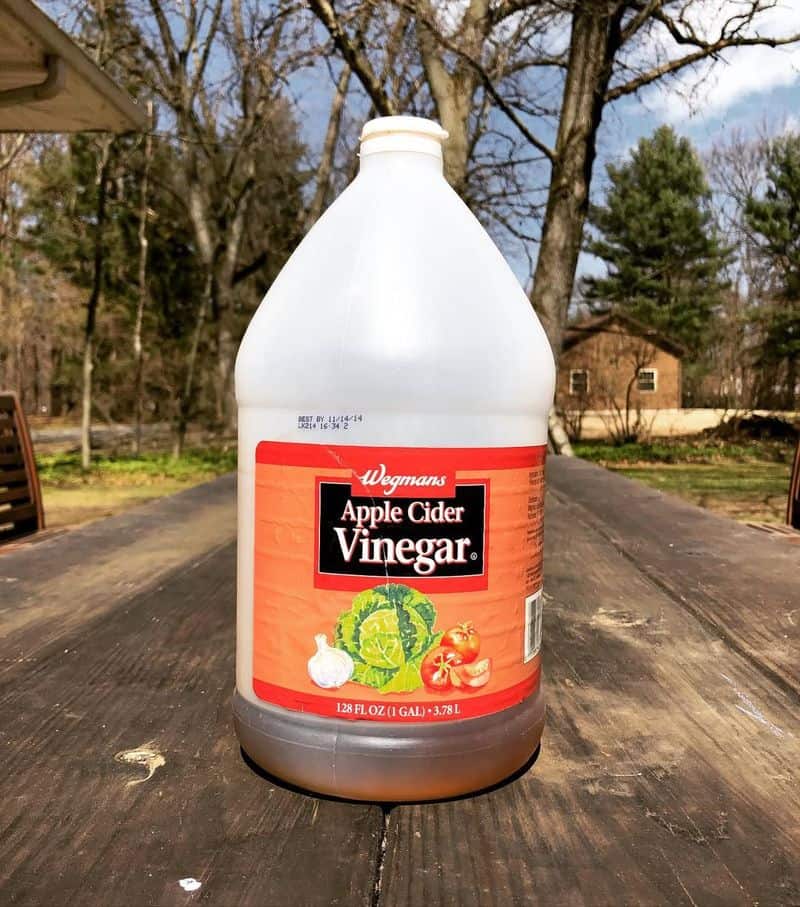 Apply a Vinegar Solution Weekly